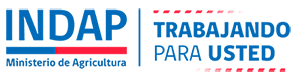 logo indap